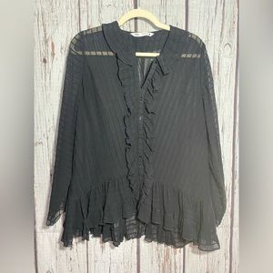 Zara Long Sleeve Sheer Black Button Up Blouse
